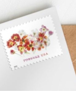 usps stamp, stamp post, forever stamps, usps postage, usps postage stamps, cost of stamps for postcards, postcard stamps price, postage first class, usps forever stamps, post office stamps, us postage stamp cost, usps stamps online, usps stamp price, forever postage stamps, usps stamps 2022, usps buy stamps, usps order stamps, postcard postage, postage us, 1st class postage, large envelope postage, usps christmas stamps, us postage stamp price, cost mail letter, forever us stamps, current postcard stamp price, usps stamps by mail, buy postage stamps, usps wedding stamps, usps stamp cost, postage stamps online, us post office stamps, us postal service stamps, postage for 9x12 envelope, current usps stamp price, us postage first class, cost of mailing a postcard, additional ounce stamp, cost of first class postage stamp, usps holiday stamps, first class postage stamp, postage for a letter, cheap forever stamps, online usps postage, order postage stamps, first class letter postage, forever usa stamps, usps international stamps, 6x9 envelope postage, buy stamps online usps, current first class postage, post office stamp prices, custom stamps usps, first class forever stamps, mail stamps near me, 100 forever stamps, cost of first class mail, united states postal stamps, buy usps postage, usps large envelopes, us postage near me, post office stamps online, first class postage cost, buy postage stamps online, usps first class envelope, usps first class postage, usps first class stamp, square envelope postage, forever postcard stamps, discount forever stamps, postage paid envelopes, post office buy stamps, first class mail envelope, usps stamps for sale, first class mail stamp, postage envelopes, post office stamps cost, current first class stamp price, current us postage stamp price, coupon for usps stamps, postage for international letter, us postal forever stamps, usps postage printing, us post office postcard stamps, forever stamps 2021, first class envelope, united states postal service stamps, cost to mail 9x12 envelope, postage for 2 oz letter, usps global stamp, united states post office stamps, us postage stamps online, postage for manila envelope, postage cost for letter, 5x7 envelope postage, cost of forever stamps today, valuable us postage stamps, usps stamp collecting, postage for first class mail, buying postage stamps near me, mailing stamp cost, postage stamps online amazon, manilla envelope postage, price of first class postage stamp, priority mail stamps, cost to mail large envelope, ordering postage stamps online, usps stamps store, us first class stamp, usps halloween stamps, usps new stamps, usps postcard postage, usps postage purchase, us postage for letter, usps canada postage, buying usps postage online, us post office buy stamps online, sesame street stamp, current us postage, order stamps online usps, post office order stamps, usps additional ounce stamp, buy us postage stamps, usps purchase stamps, usps postage cost, lunar new year stamps, postage for 8.5 x 11 envelope, usps non machinable stamp, oversized envelope postage, usps postage meter, 2 oz first class postage, us first class stamp price, cost of us first class stamp, us postage first class stamp, postage cost for postcards, cost of forever postage stamp, snoopy stamps usps, postal service stamps, usps stamps near me, usps global forever stamps, current us postage stamps, 5x7 postcard postage, buy stamps in bulk, 2018 forever stamps, usps stamped envelopes, current cost of first class stamp, current usps stamps, post office forever stamps, uspostage, 10x13 envelope postage, usps first class stamp cost, post office buy stamps online, cost to mail a letter usps, us postage stamps for sale, usps flower stamps, usps forever stamp price, usps 2022 stamps, postage stamps for postcards, us forever stamp price, purple heart forever stamps, buy postage, usps stamps endicia, usps first class letter, post office christmas stamps, personalized stamps usps, stamps available at post office, butterfly stamp usps, order forever stamps, 1st class postage stamp, order us postage stamps, us post office buy stamps, 1st class letter postage, current forever stamps, cost to mail 6x9 envelope, postage for 1 oz letter, holiday forever stamps, usps duck stamp, 2017 forever stamps, disney stamps usps