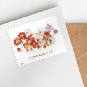 usps stamp, stamp post, forever stamps, usps postage, usps postage stamps, cost of stamps for postcards, postcard stamps price, postage first class, usps forever stamps, post office stamps, us postage stamp cost, usps stamps online, usps stamp price, forever postage stamps, usps stamps 2022, usps buy stamps, usps order stamps, postcard postage, postage us, 1st class postage, large envelope postage, usps christmas stamps, us postage stamp price, cost mail letter, forever us stamps, current postcard stamp price, usps stamps by mail, buy postage stamps, usps wedding stamps, usps stamp cost, postage stamps online, us post office stamps, us postal service stamps, postage for 9x12 envelope, current usps stamp price, us postage first class, cost of mailing a postcard, additional ounce stamp, cost of first class postage stamp, usps holiday stamps, first class postage stamp, postage for a letter, cheap forever stamps, online usps postage, order postage stamps, first class letter postage, forever usa stamps, usps international stamps, 6x9 envelope postage, buy stamps online usps, current first class postage, post office stamp prices, custom stamps usps, first class forever stamps, mail stamps near me, 100 forever stamps, cost of first class mail, united states postal stamps, buy usps postage, usps large envelopes, us postage near me, post office stamps online, first class postage cost, buy postage stamps online, usps first class envelope, usps first class postage, usps first class stamp, square envelope postage, forever postcard stamps, discount forever stamps, postage paid envelopes, post office buy stamps, first class mail envelope, usps stamps for sale, first class mail stamp, postage envelopes, post office stamps cost, current first class stamp price, current us postage stamp price, coupon for usps stamps, postage for international letter, us postal forever stamps, usps postage printing, us post office postcard stamps, forever stamps 2021, first class envelope, united states postal service stamps, cost to mail 9x12 envelope, postage for 2 oz letter, usps global stamp, united states post office stamps, us postage stamps online, postage for manila envelope, postage cost for letter, 5x7 envelope postage, cost of forever stamps today, valuable us postage stamps, usps stamp collecting, postage for first class mail, buying postage stamps near me, mailing stamp cost, postage stamps online amazon, manilla envelope postage, price of first class postage stamp, priority mail stamps, cost to mail large envelope, ordering postage stamps online, usps stamps store, us first class stamp, usps halloween stamps, usps new stamps, usps postcard postage, usps postage purchase, us postage for letter, usps canada postage, buying usps postage online, us post office buy stamps online, sesame street stamp, current us postage, order stamps online usps, post office order stamps, usps additional ounce stamp, buy us postage stamps, usps purchase stamps, usps postage cost, lunar new year stamps, postage for 8.5 x 11 envelope, usps non machinable stamp, oversized envelope postage, usps postage meter, 2 oz first class postage, us first class stamp price, cost of us first class stamp, us postage first class stamp, postage cost for postcards, cost of forever postage stamp, snoopy stamps usps, postal service stamps, usps stamps near me, usps global forever stamps, current us postage stamps, 5x7 postcard postage, buy stamps in bulk, 2018 forever stamps, usps stamped envelopes, current cost of first class stamp, current usps stamps, post office forever stamps, uspostage, 10x13 envelope postage, usps first class stamp cost, post office buy stamps online, cost to mail a letter usps, us postage stamps for sale, usps flower stamps, usps forever stamp price, usps 2022 stamps, postage stamps for postcards, us forever stamp price, purple heart forever stamps, buy postage, usps stamps endicia, usps first class letter, post office christmas stamps, personalized stamps usps, stamps available at post office, butterfly stamp usps, order forever stamps, 1st class postage stamp, order us postage stamps, us post office buy stamps, 1st class letter postage, current forever stamps, cost to mail 6x9 envelope, postage for 1 oz letter, holiday forever stamps, usps duck stamp, 2017 forever stamps, disney stamps usps