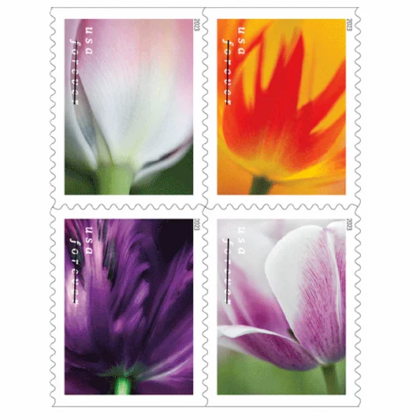 Forever Stamps Tulip Blossoms 2023 Stamps Coil of 100 PCS/Roll