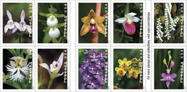 Forever Stamps Wild Orchids 2020 Stamps Coil of 100 PCS/Roll